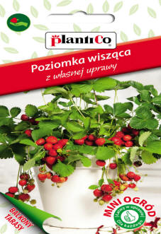 PLANTICO семена растений семена овощей семена цветов